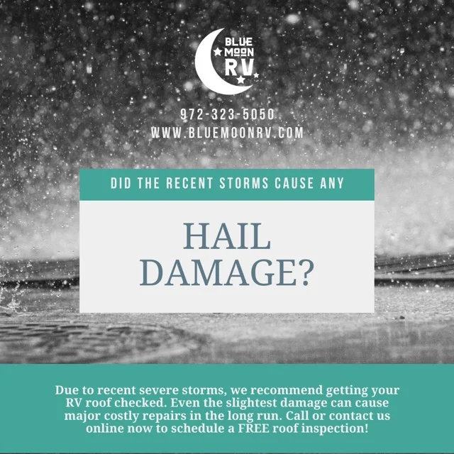 Collision & Insurance