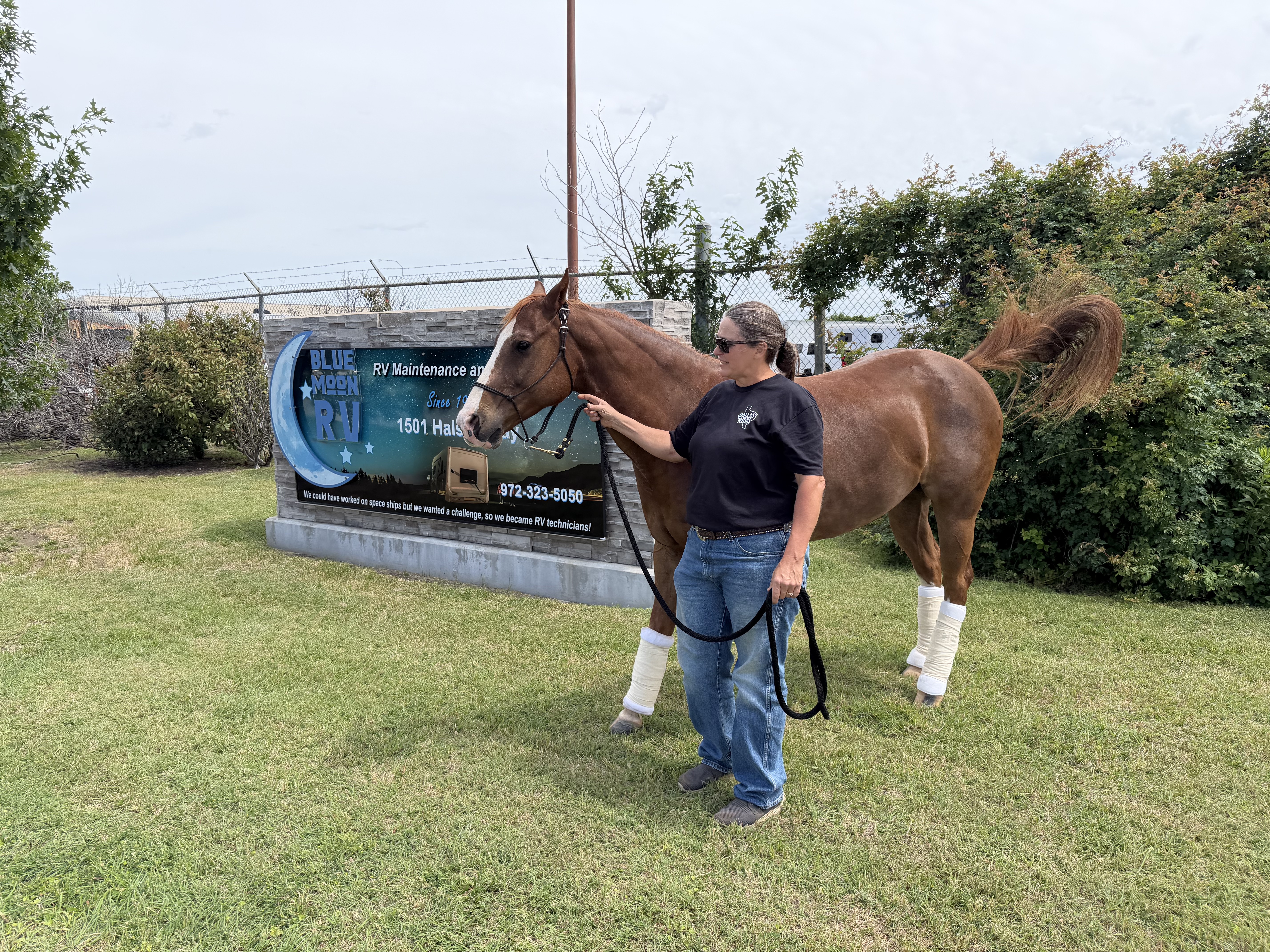Horse Owner At Blue Moon RV Horse owner with her horse and leg wraps at the Blue Moon RV sign