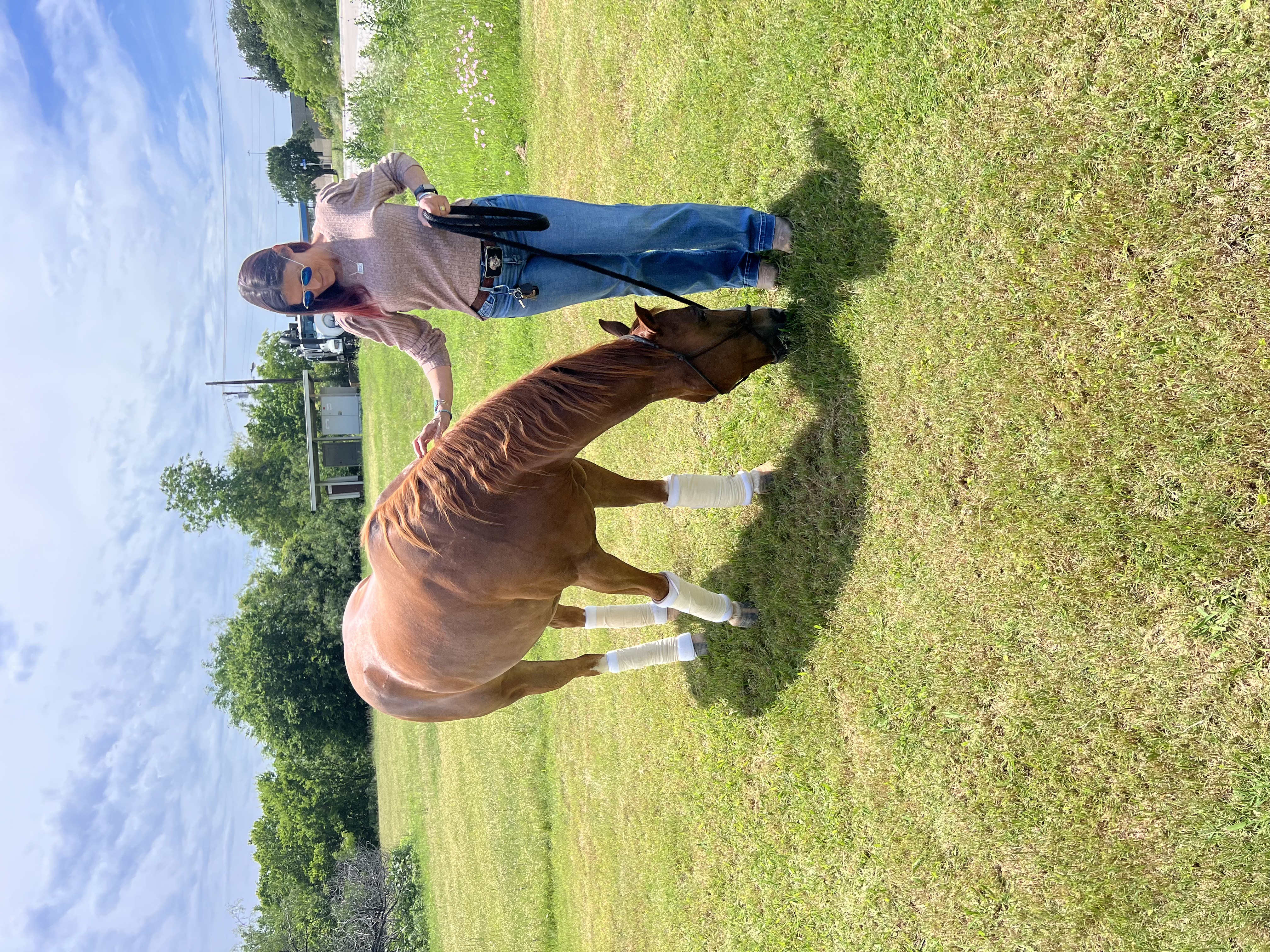 Horse And Owner Grazing Horse owner with her horse grazing in a sunny field
