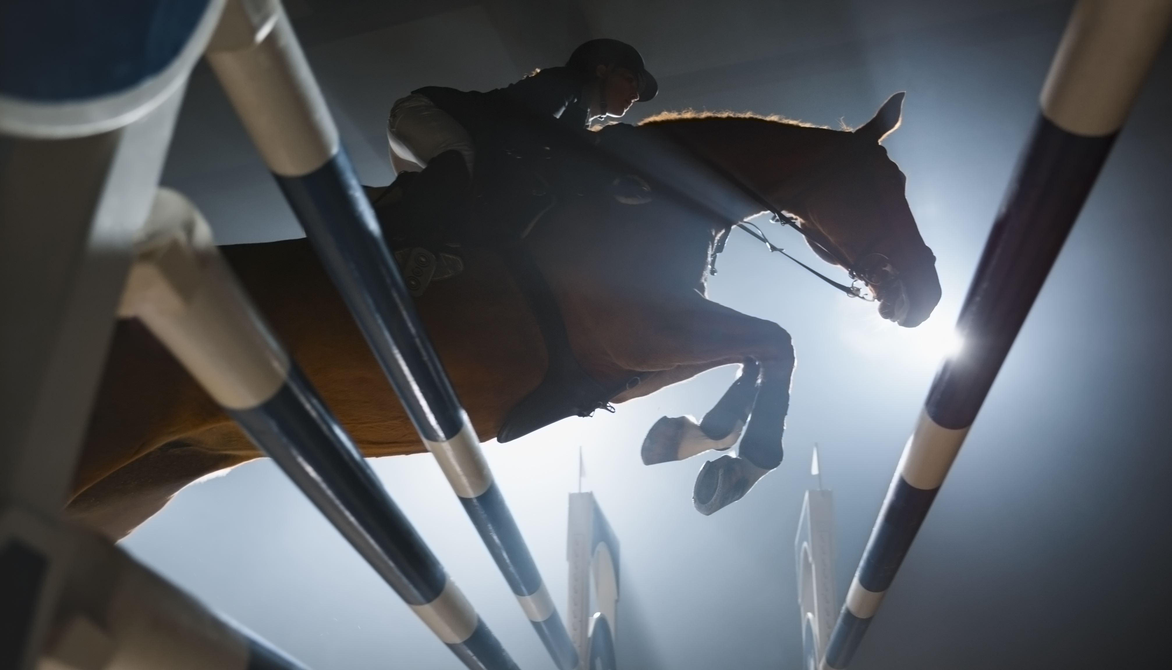 Show Ring Performance Horse and rider clearing a jump at a show