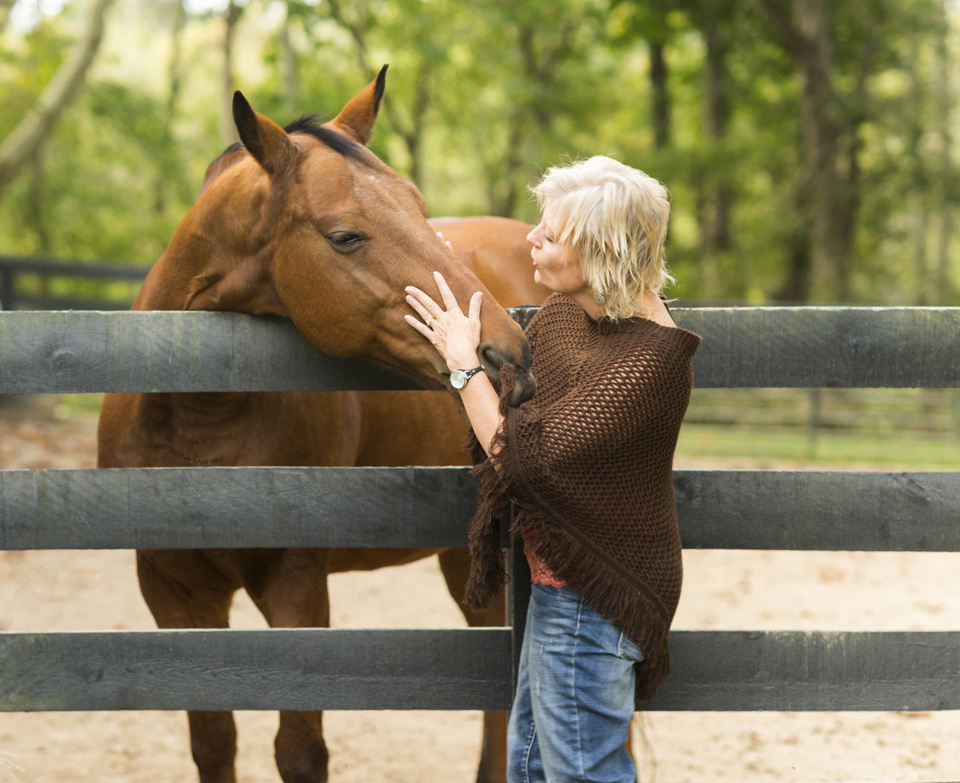 Horse Trailer & LQ